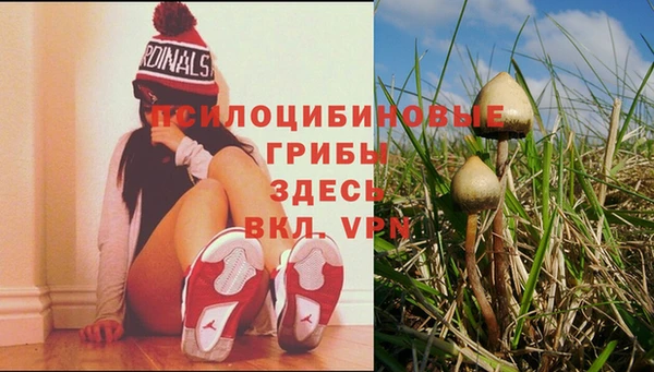 a pvp Ельня