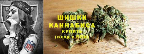 меф Переславль-Залесский