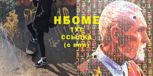 индика Дмитриев