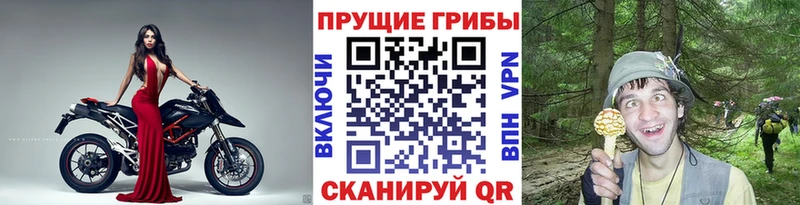 купить наркотики цена  MEGA маркетплейс  Галлюциногенные грибы Magic Shrooms  мориарти состав  Лагань 